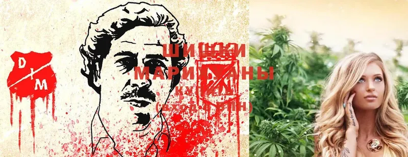 где можно купить наркотик  Руза  МАРИХУАНА OG Kush 